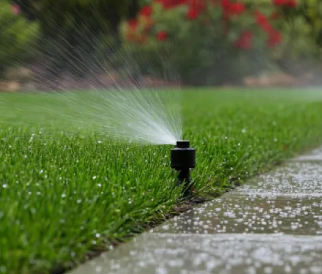 Pop-up sprinkler head watering a lawn