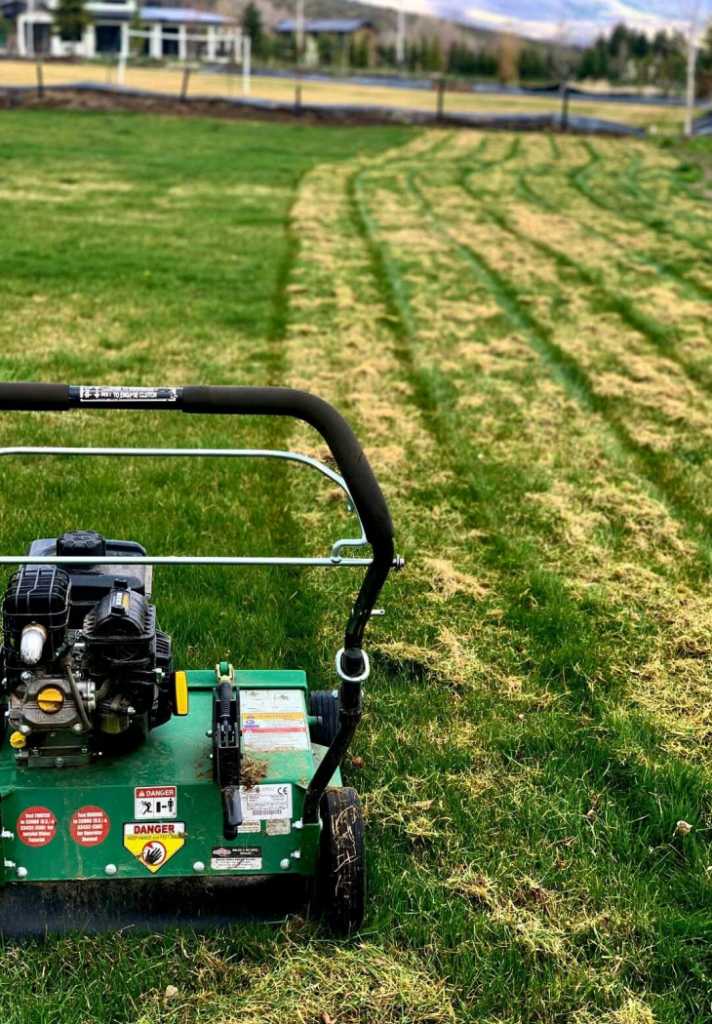 Aerator working across a striped lawn