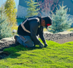 Landscaper checking turf health on a Utah lawn
