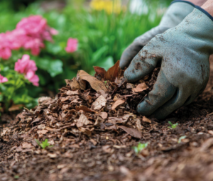 Gloved hand spreading bark mulch in a flower bed