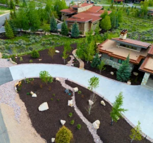 Newly planted landscape bed with dark mulch and young shrubs