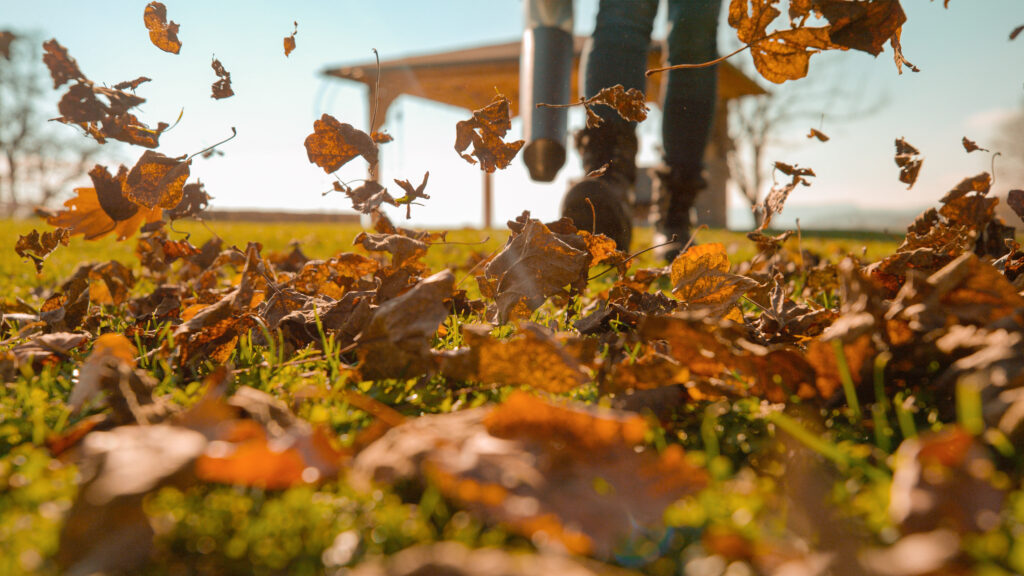 Fall leaf cleanup on a Utah lawn