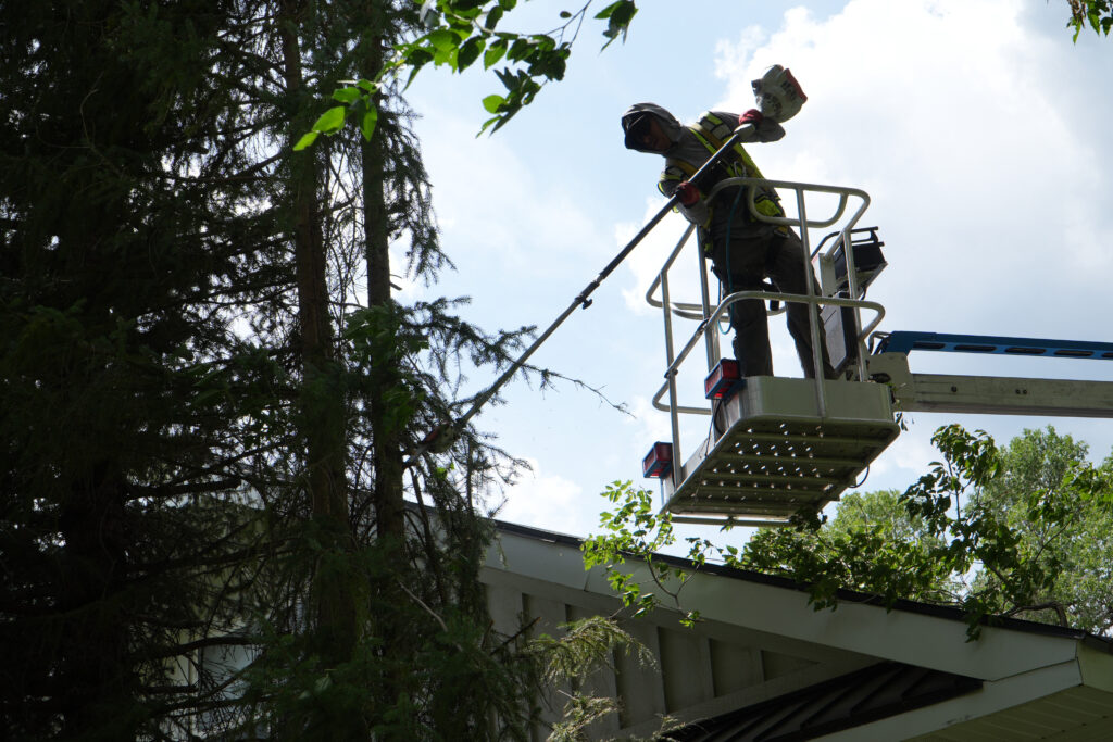 Prime Landscaping arborist crew pruning a tree in Utah